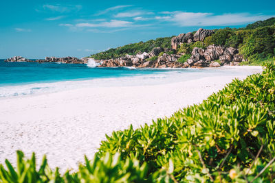 Scenic view of beach against sky
