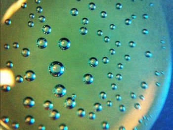 Close-up of bubbles