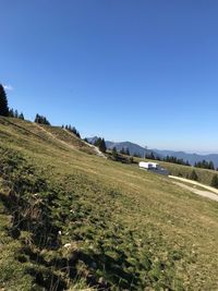 Scenic view of field against clear blue sky