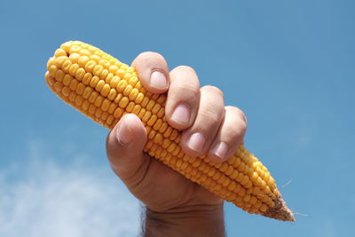 Close-up of hands holding hands against blue sky