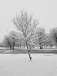 Bare tree on snow covered field against clear sky