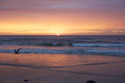 Scenic view of sea during sunset