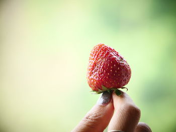 Close-up of hand holding strawberry