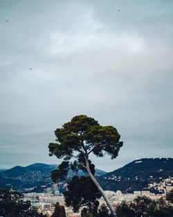 sky
