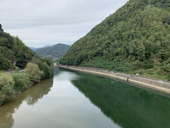 Scenic view of river amidst trees against sky