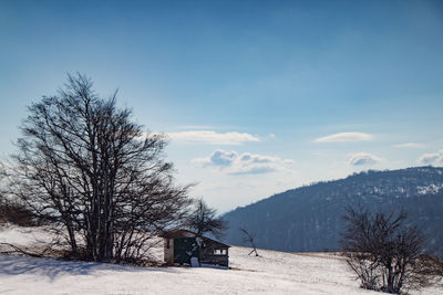 Bare trees on snow covered field against sky