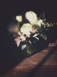 Close-up of white flowers