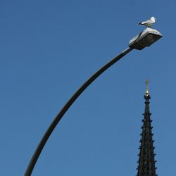 Low angle view of seagull perching on street light by church against clear sky