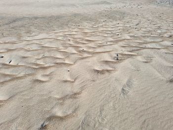 High angle view of a beach