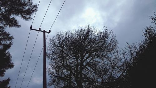 Low angle view of silhouette tree against sky