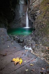 Autumn leaves falling on rocks