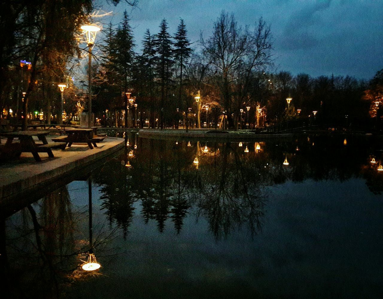 reflection, water, illuminated, lake, night, tree, sky, tranquility, tranquil scene, nature, beauty in nature, waterfront, scenics, dusk, outdoors, street light, standing water, sunset, idyllic, no people