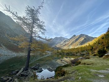 Scenic view of lake