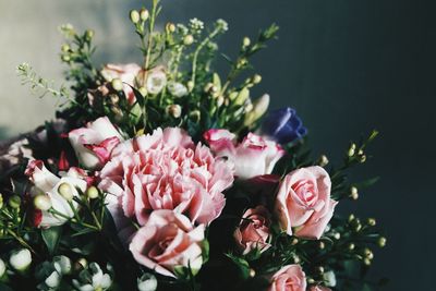 Close-up of pink flowers