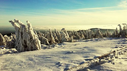 Scenic view of landscape against sky during winter