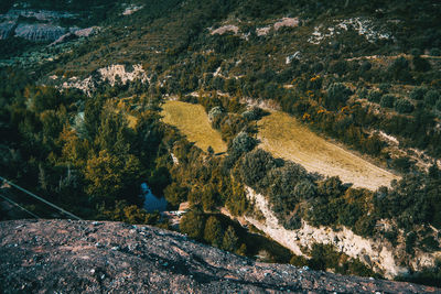 High angle view of trees on landscape