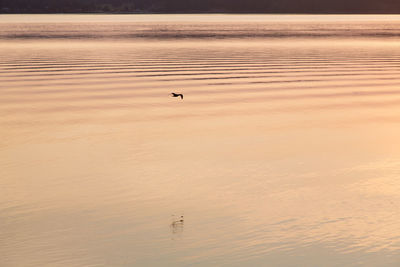 Scenic view of sea at sunset