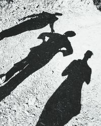 High angle view of shadow on ground