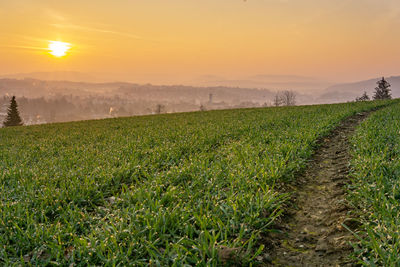 Scenic view of field against sky during sunset