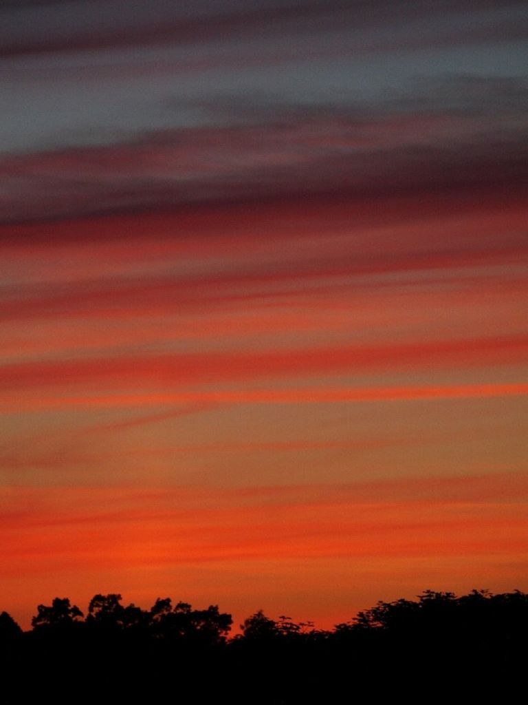 sunset, silhouette, orange color, beauty in nature, scenics, tranquility, sky, tranquil scene, tree, nature, idyllic, dramatic sky, low angle view, cloud - sky, outdoors, no people, majestic, cloud, dusk, dark