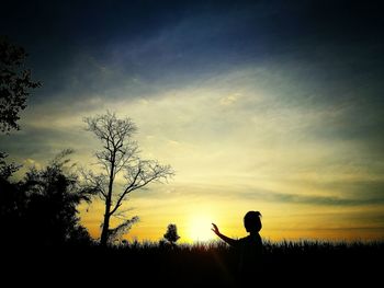 Silhouette trees against sky during sunset