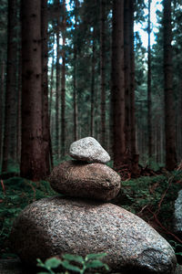 Stack of stones in forest