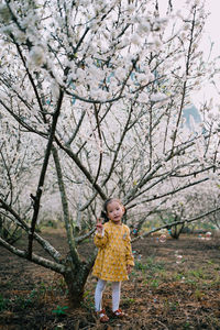 Portrait of cute girl standing by tree