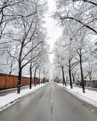 Road amidst bare trees during winter