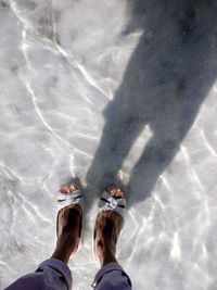 Low section of woman wearing scandals while standing in sea