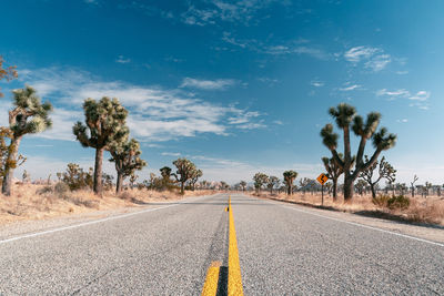 Empty road amidst trees against sky