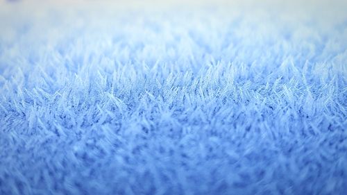 Full frame shot of frozen grass