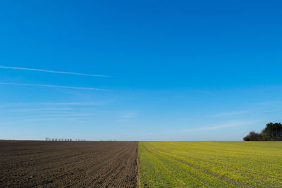 Scenic view of agricultural field against blue sky