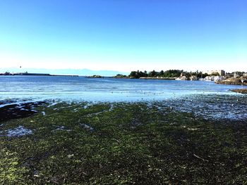 Scenic view of lake against clear blue sky