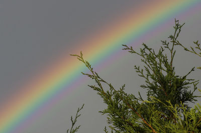 Low angle view of rainbow against sky at sunset