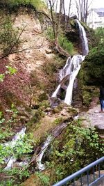 Scenic view of waterfall in forest