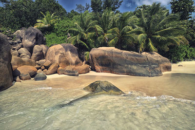 Rocks on beach against sky