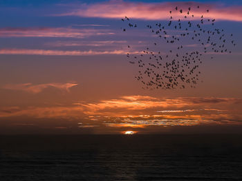 Scenic view of sea against orange sky