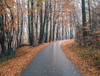 Road amidst trees in forest during autumn
