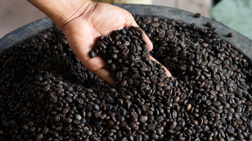 Close-up of hand holding coffee beans