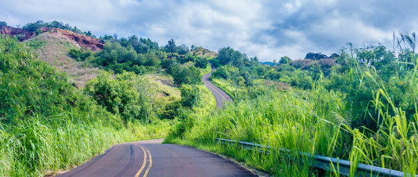 Road amidst plants and trees against sky