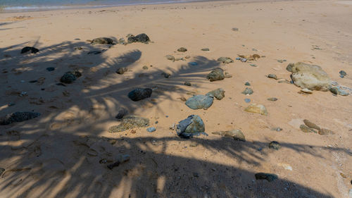High angle view of footprints on sand at beach