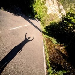 Shadow of person on road by trees