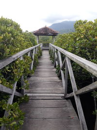 Footbridge amidst plants against sky