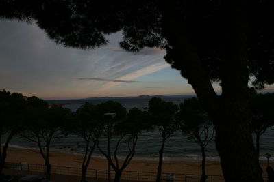 Silhouette trees by sea against sky during sunset