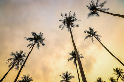 Low angle view of silhouette palm trees against sky during sunset