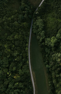Beautiful road from above. drone shot