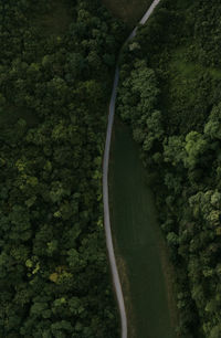 High angle view of road amidst trees in forest