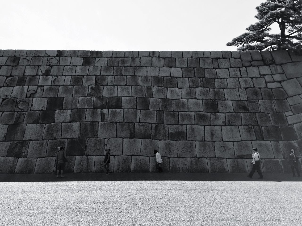 architecture, built structure, building exterior, sky, men, real people, day, people, group of people, nature, wall, lifestyles, tree, clear sky, outdoors, leisure activity, wall - building feature, building, plant, walking, stone wall