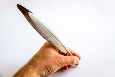 Close-up of hand holding paper over white background