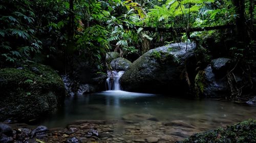 Scenic view of waterfall amidst trees